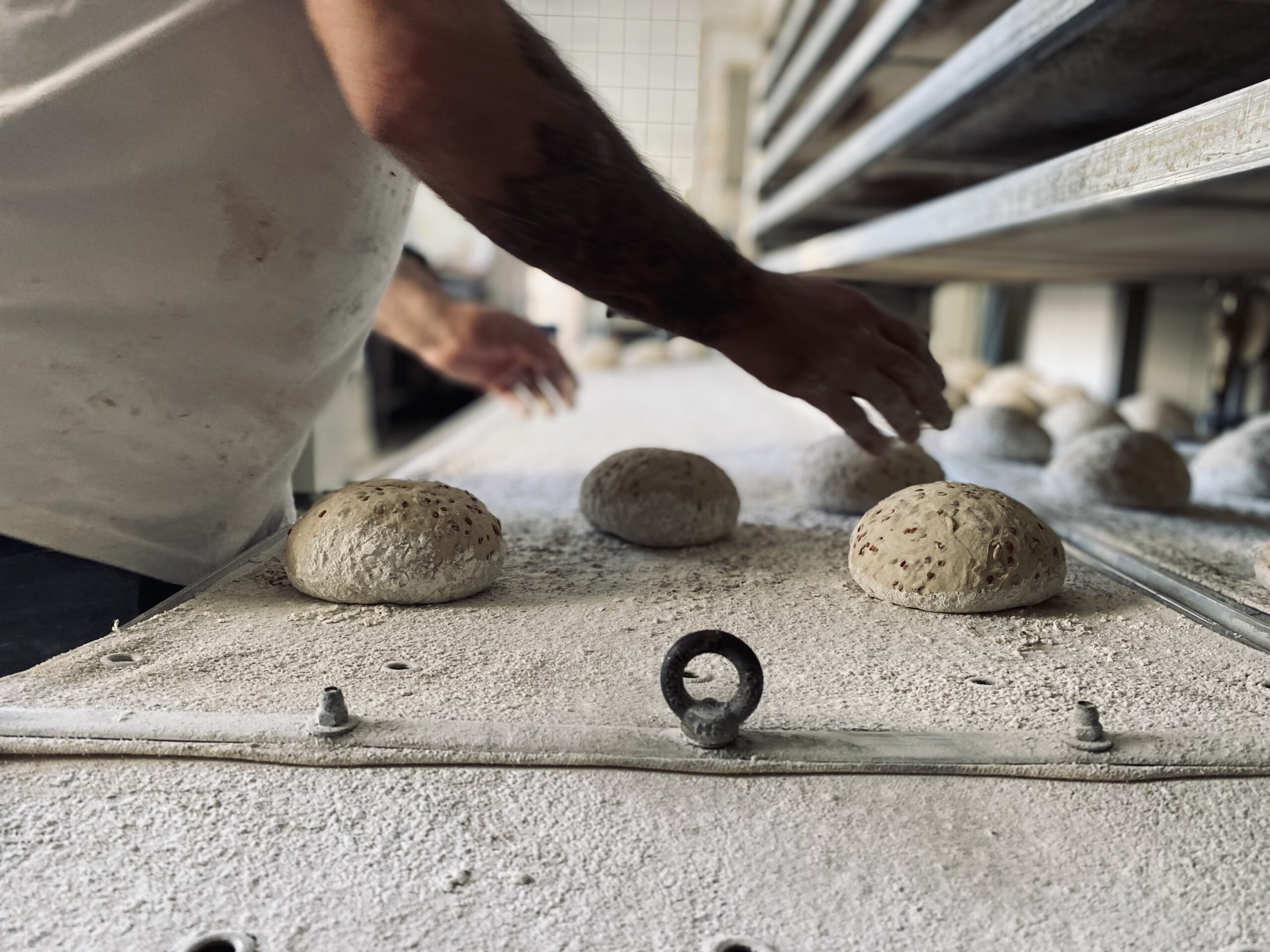 392BCAE8 28D3 4A33 A664 2B85E0422C03 1 102 a scaled